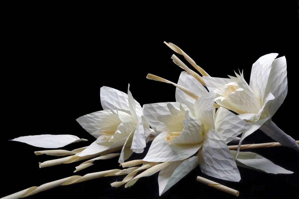 Thai Artificial Funeral Flower(Dok mai chan) on black backgroud with copy space. (Daffodil or narcissus funeral flowers)